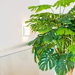 Duplex Ocean View In Neptuno *