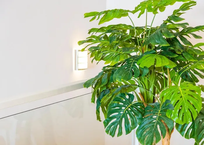 Duplex Ocean View In Neptuno *